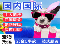 涟水空运公司国际宠物托运 【国